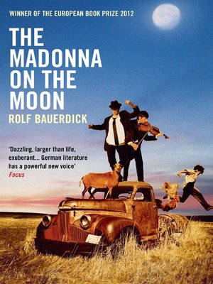 cover image of The Madonna on the Moon